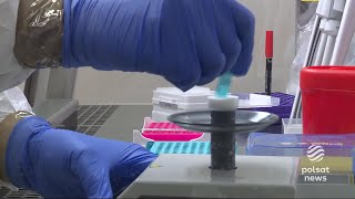 Omikron W Polsce. Potwierdzone Kolejne Przypadki