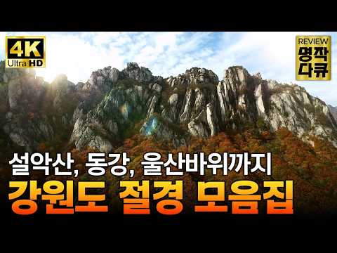 "단종이 머물던 영월", ‘80%가 산’ 강원도 대자연의 스케일! 설악산, 오대산, 태백산부터 동강까지, 숨 막히는 절경을 감상해 보세요 [리뷰 명작 다큐] / YTN 교양있게