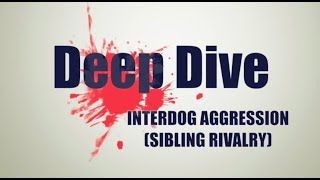 Interdog Aggression For Clients