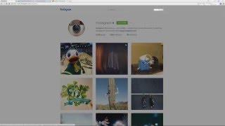 Instagram Image / Photo Downloader Tutorial screenshot 2