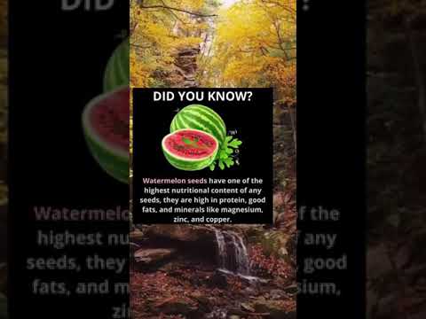 Did You Know? Watermelon Facts