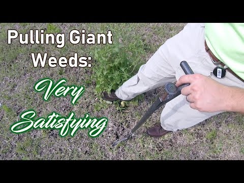 How to Pull Weeds - Satisfying