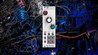 Mutable Instruments Ripples [old version] self oscillating FM lead