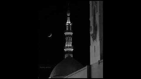 القارئ / عبدالإله العجيري