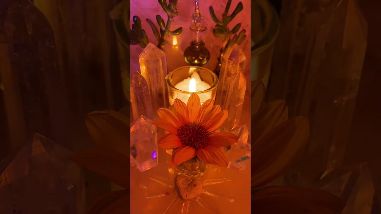 ✂️You Cut Off Your 👿Sister/Friend & Ur Ex 🔄From Ur Energy Just in Time 🚫🚨🕊️