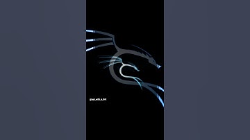 hackers fav💕linux distro..#linux #programming #hacking #coding #python #cybersecurity #hacker #kali