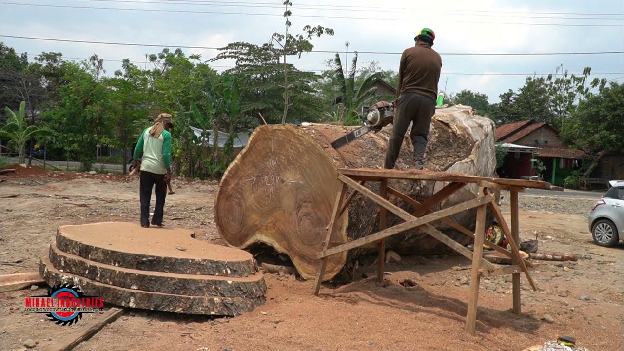 amazing-fastest-skill-cutting-big-tree-chainsaw-machine-heavy-longest