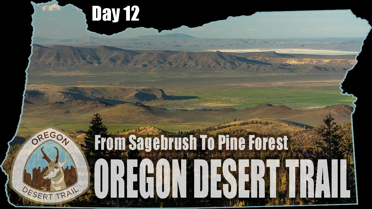 ODT Day 12 From Sagebrush to Pine Forest (Oregon Desert Trail Thru