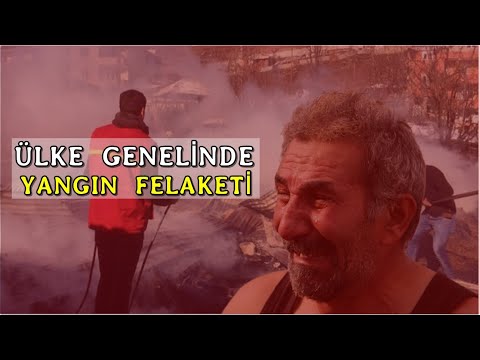 MİLYONLARCA HAYVAN YANGINDA HAYATINI KAYBETTİ. BİNLERCE İNSAN MAĞDUR OLDU.