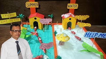 English project model | project model on The Ant and the cricket poem | English poem project model