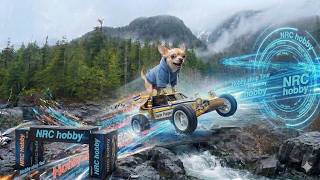 Super Awesome Hobby Shop Tour and Parts Hunt - NRC Hobby  #rccar #rcracing #rccrawler #superdog