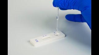 Procedure for Total Aflatoxin Quantitative Test Kit for Feed and Grains