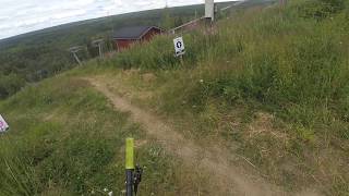 Sappee - safari