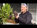 We have babies planting the aviary window box  visit our garden