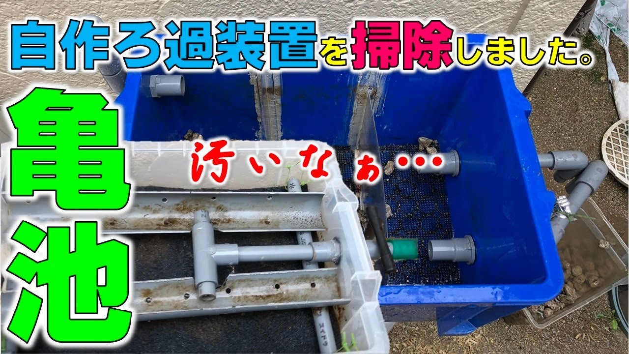 自作濾過装置の掃除をしました 18 026 Youtube 自作濾過装置の掃除をしました 18 026 Youtube