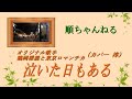 泣いた日もある/鶴岡雅義と東京ロマンチカ (カバー 淳)