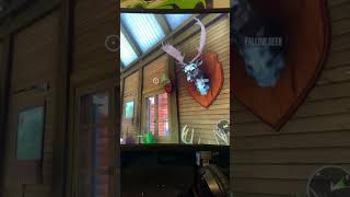 #cotwclips #trophylodge