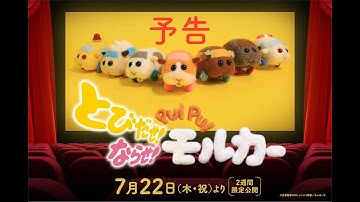 『とびだせ！ならせ！ PUI PUI モルカー』予告【7月22日（木・祝）公開】