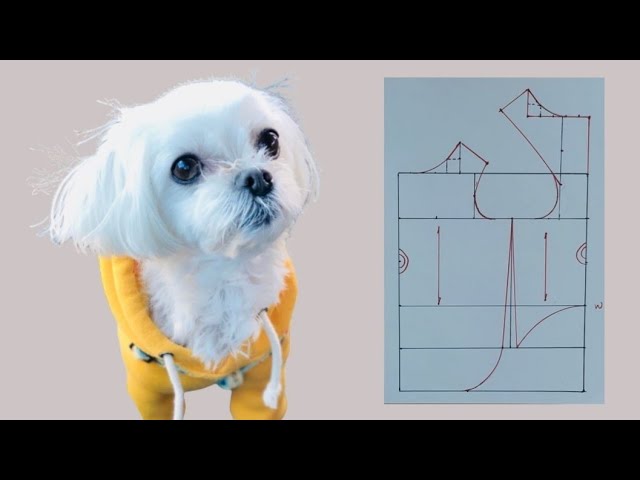 Dog T shirt pattern