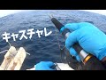 山口県日本海でヒラマサキャスティングチャレンジ！