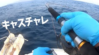 山口県日本海でヒラマサキャスティングチャレンジ！