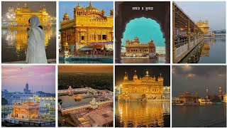 ✨ Golden temple dp image's 🧿 for WhatsApp/Instagram/FB 😇 || Golden temple pictures 💖 ||