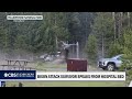 Man flipped by bison speaks out: "They move faster than you could ever imagine"