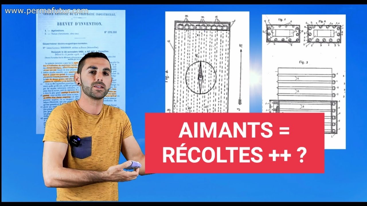 AIMANTS et magnétisme pour + de récoltes ?? Réponse ici 🌱 #Électroculture