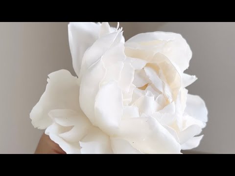 Как создать пионы