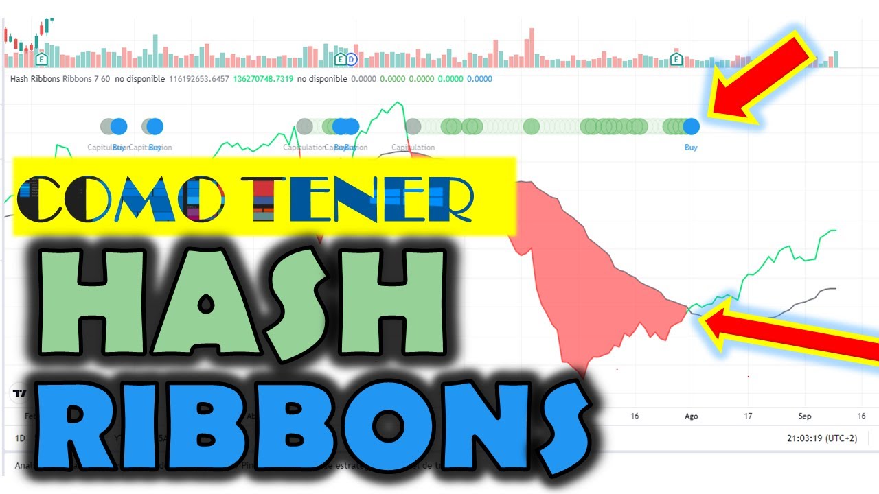 Cómo ver el Indicador Hash Ribbons para saber el mejor momento para ...