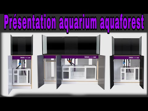 Nouveau - Présentation Nouvel aquarium aquaforest