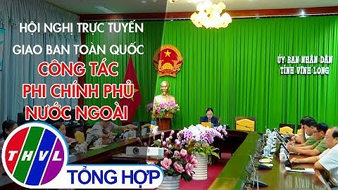 Hội nghị trực tuyến giao ban toàn quốc công tác phi chính phủ nước ngoài