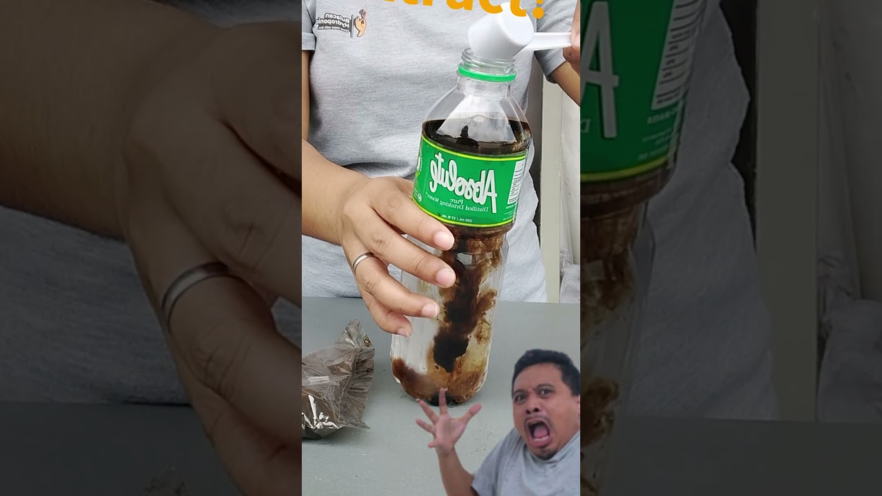 How to use Seaweed Plant Booster Concentrated!