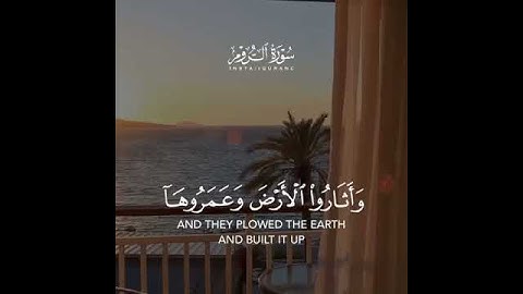 قرآن كريم بصوت القارئ ياسر الدوسري تلاوة خاشعة ارح قلبك 🌿💚 حالات واتس اب / ستوريات قرآن Quran