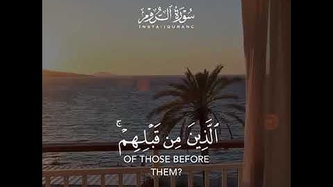 قرآن كريم بصوت القارئ ياسر الدوسري تلاوة خاشعة ارح قلبك 🌿💚 حالات واتس اب / ستوريات قرآن Quran