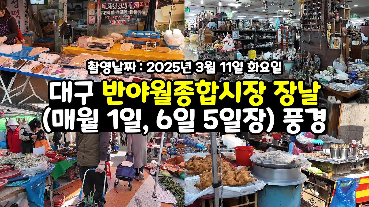 대구 반야월종합시장 장날 오일장(매월 1일, 6일 5일장) 풍경 구경 1인칭시점 걷기 영상