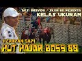 Aksi individu  skon 60 peserta kelas ukuran hut hajar boss 88  minggu 17 desember 2023