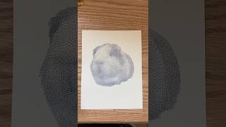 Guinea Pig Drawing! #guineapigslove #guineapigoftheday  #guineapigdrawing #guineapigart #petart #art