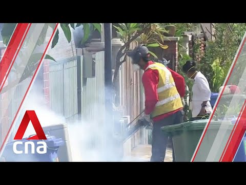 Video: Prognozarea în Timp Real A Nivelului De Vecinătate A Cazurilor De Dengue în Singapore Tropical Urban