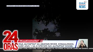 Mga alitaptap sa Abatan River, kinaaliwan; Rare ang 1 sa 8 species ng alitaptap doon | 24 Oras