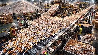 Download Lagu Bagaimana Ribuan Rokok Mentol Dibuat Perhari di Pabrik Modern MP3