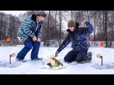 ДЕД ВЗЯЛ СЕТИ БРАКОНЬЕРА... ОГОРОД ЖЕРЛИЦ на ЩУКУ!!! РЫБАЛКА на ЖЕРЛИЦЫ 2024 ЩУКА со ЛЬДА