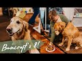 Bancroft&#39;s Golden Birthday Party | WEEKLY VLOG