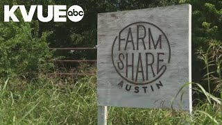 Austin volunteer finds community in farm fields — and fighting food insecurity