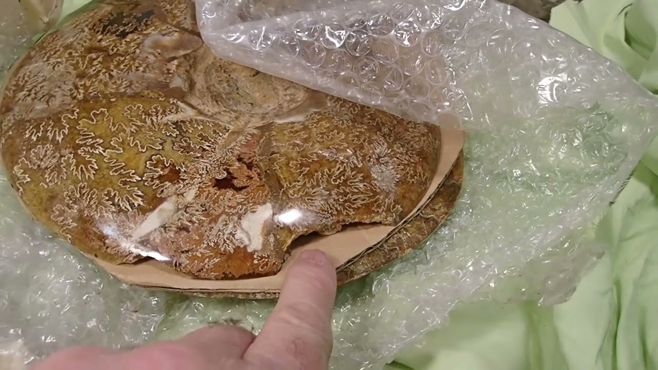 Big Split and Polished Ammonite-Madagascar