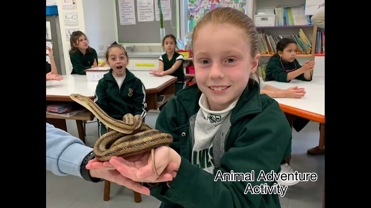 San Silvestre Flashback 2022