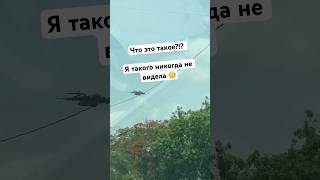 Неизвестный  объект в небе, то это такое? #airport #airforce #jet #флорида