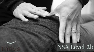 NSA   LEVEL 2B - Getting to the other side