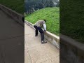 Is This The Longest Ledge in San Francisco?