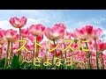 心が晴れやかに・ストレスを解消して新たな未来へ【サブリミナル音源】